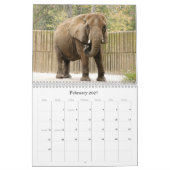 Calendrier African_Elephant_005, éléphant africain (Feb 2027)