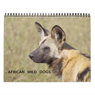 CALENDRIER AFRICAN WILD DOGS