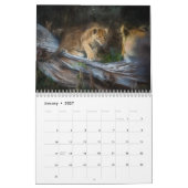 Calendrier African Wildlife 2022 (Jan 2027)
