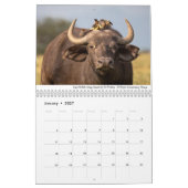 Calendrier Afrique 2020 Faune (Jan 2027)