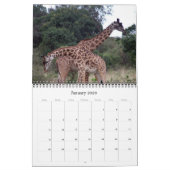 Calendrier afrique 2025 (Jan 2026)