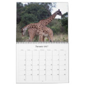 Calendrier afrique 2026 (Jan 2027)