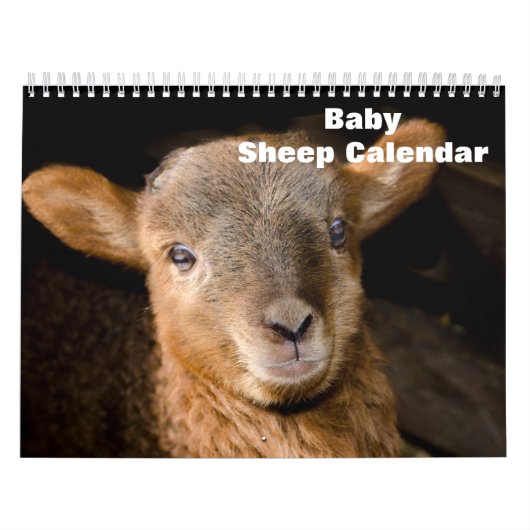 Calendrier Agneau à mouton pour bébé 2025 (Protection)