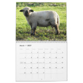 Calendrier Agneau à mouton pour bébé 2025 (Mar 2027)