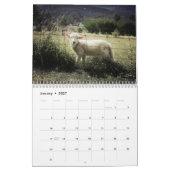 Calendrier Agneau à mouton pour bébé 2025 (Jan 2027)