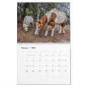 CALENDRIER AGRICOLE DE PAIX 2024 (Feb 2026)
