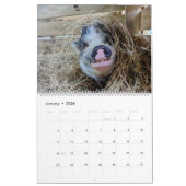 CALENDRIER AGRICOLE DE PAIX 2024 (Jan 2026)