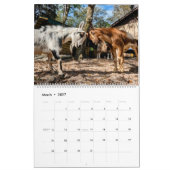 CALENDRIER AGRICOLE DE PAIX 2024 (Mar 2027)