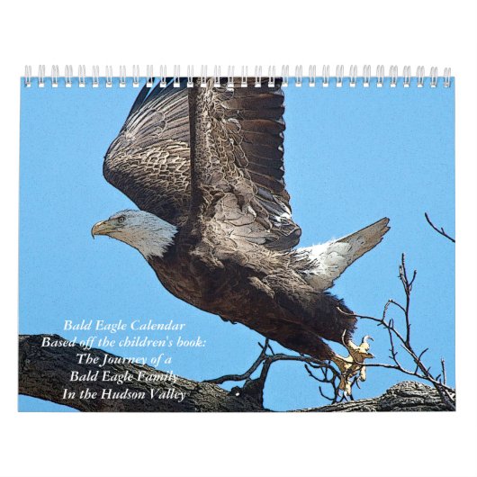 Calendrier Aigle Bald Posterisé 2026 (Protection)