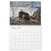 Calendrier Aigle Bald Posterisé 2026 (Feb 2027)