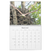 Calendrier Aigle de Bald (Mar 2027)