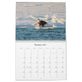 Calendrier Aigle de Bald (Jan 2027)
