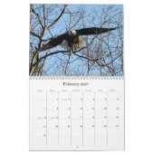 Calendrier Aigle sauvage de la nature (Feb 2027)