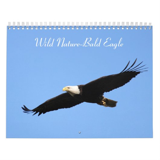 Calendrier Aigle sauvage de la nature (Protection)