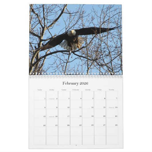 Calendrier Aigle sauvage de la nature (Feb 2026)