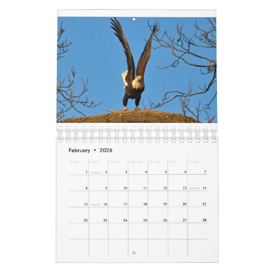 Calendrier Aigles 2 (Feb 2026)