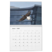 Calendrier Aigles 3 (Mar 2027)