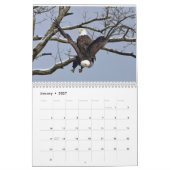 Calendrier Aigles 3 (Jan 2027)