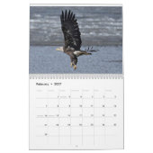 Calendrier Aigles 3 (Feb 2027)