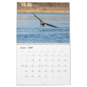 Calendrier Aigles à tête blanche 2026 (Mar 2027)
