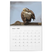Calendrier Aigles à tête blanche 2026 (Mar 2027)