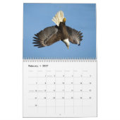 Calendrier Aigles à tête blanche 2026 (Feb 2027)