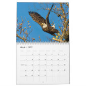 Calendrier Aigles chauds en action (Mar 2027)