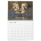 Calendrier Aigles chauds en action (Jan 2027)
