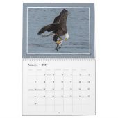 Calendrier Aigles chauds en action (Feb 2027)