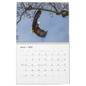Calendrier Aigles chauds toute l'année (Mar 2027)