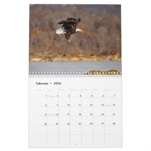 Calendrier Aigles de Conowingo (Feb 2026)