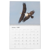 Calendrier Aigles de Conowingo (Jan 2027)