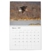 Calendrier Aigles de Conowingo (Feb 2027)