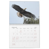 Calendrier Aigles de Tombstone (Feb 2027)