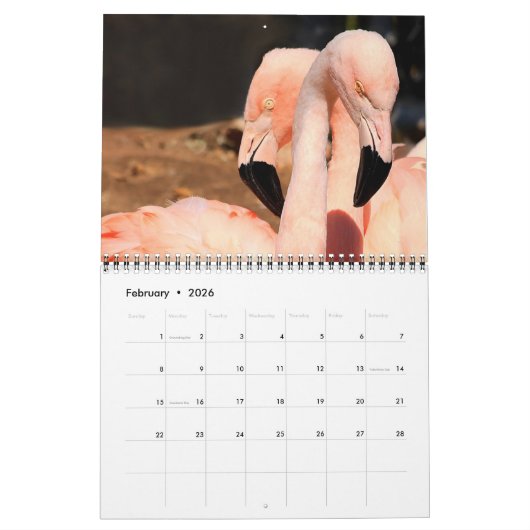 Calendrier Aimer les cygnes, Inséparables 20XX Personnalisé (Feb 2026)