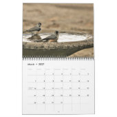 Calendrier Aimer Swans Belle collection de photos Inséparable (Mar 2027)