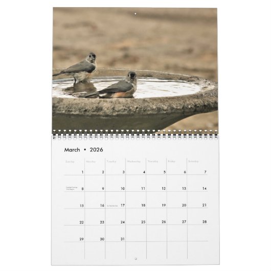Calendrier Aimer Swans Belle collection de photos Inséparable (Mar 2026)