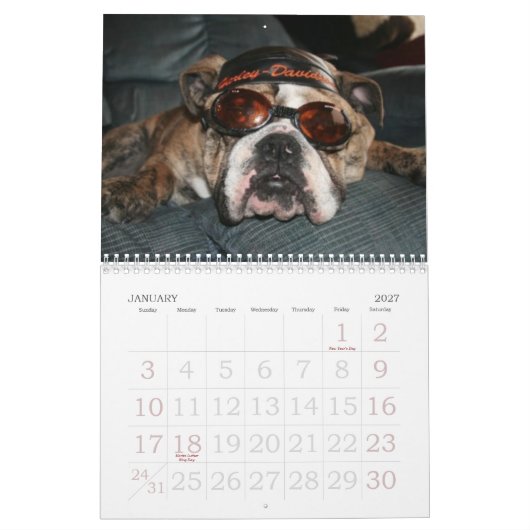Calendrier Aimez ce bouledogue Calander (Jan 2027)