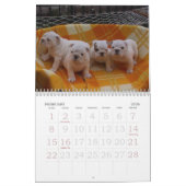 Calendrier Aimez ce bouledogue Calander (Feb 2026)