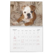 Calendrier Aimez ce bouledogue Calander (Mar 2026)