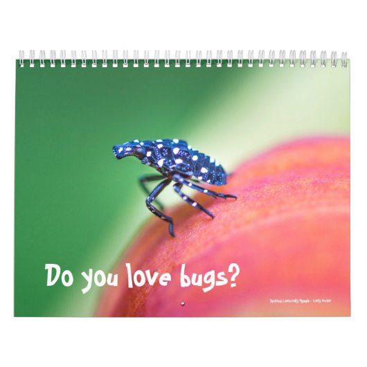 Calendrier ~ Aimez-vous les bogues ? (Protection)