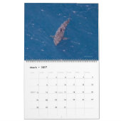 Calendrier Airpilikia 2026 (Mar 2027)