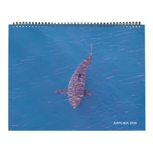 Calendrier Airpilikia 2026 (Protection)