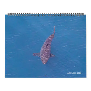 Calendrier Airpilikia 2026
