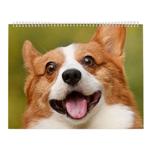 Calendrier Ajouter photo de chien personnalisé Customisé (Protection)