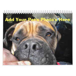 Calendrier Ajoutez les photos de votre animal de compagnie au