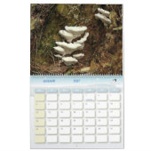 Calendrier Ajuster la forêt hollandaise de Kalender (Jan 2027)