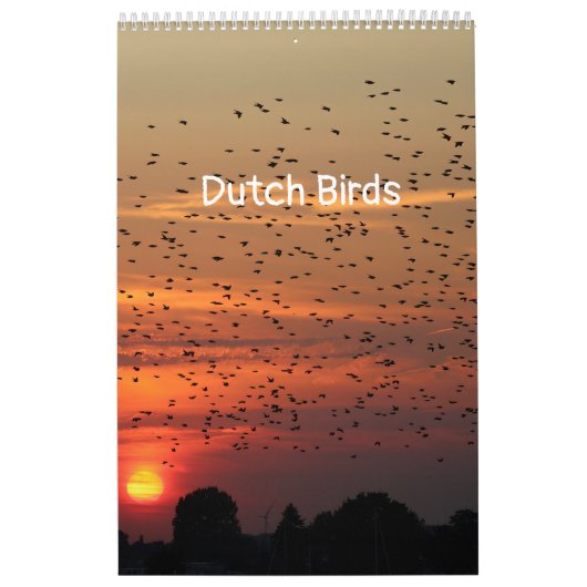 Calendrier Ajuster les oiseaux hollandais Calender (Protection)