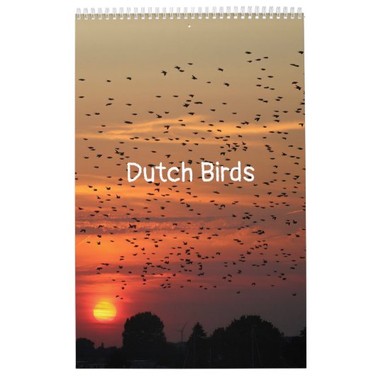 Calendrier Ajuster les oiseaux hollandais Calender (Protection)