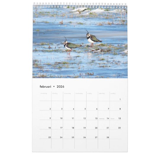 Calendrier Ajuster les oiseaux hollandais Calender (Feb 2026)